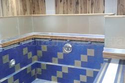 Поручни для бассейна в Алматы. Готовые проекты ПерилаГлавСнаб - фото 5 Поручни для бассейна в Алматы. Готовые проекты ПерилаГлавСнаб - фото 5